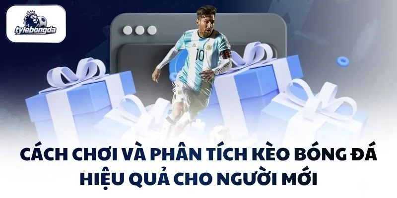 Cách chơi và phân tích kèo bóng đá hiệu quả cho người mới Cách chơi và phân tích kèo bóng đá hiệu quả cho người mới