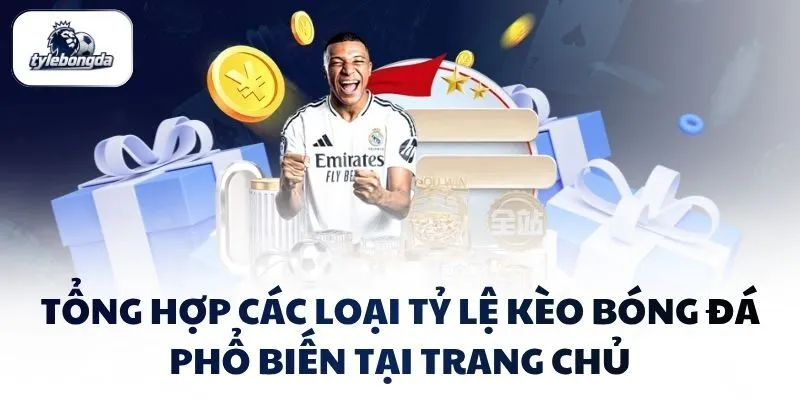 tong hop cac loai ty le keo bong da pho bien tai trang chu Tổng hợp các loại tỷ lệ kèo bóng đá phổ biến tại trang chủ