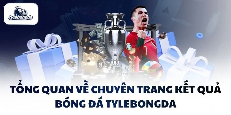 tong quan ve chuyen trang ket qua bong da tylebongda Tổng quan về chuyên trang kết quả bóng đá Tylebongda