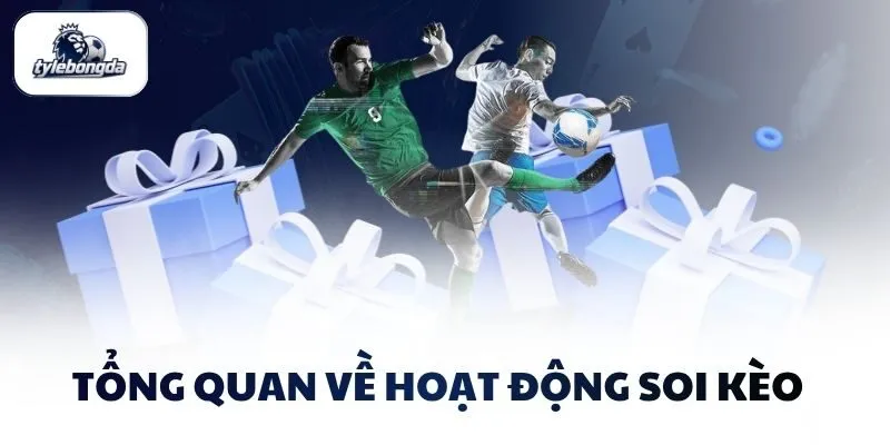 Tổng quan về hoạt động soi kèo  